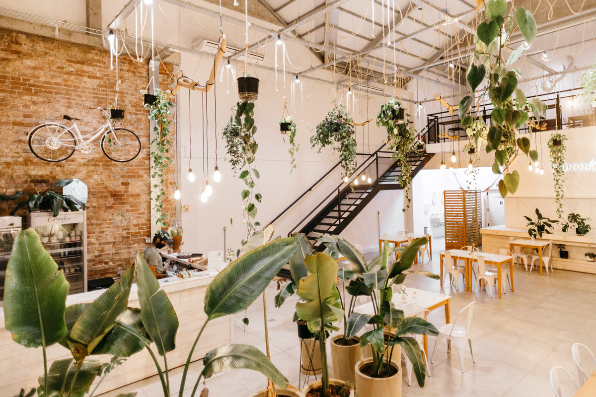 Modern café interior design with hanging plants