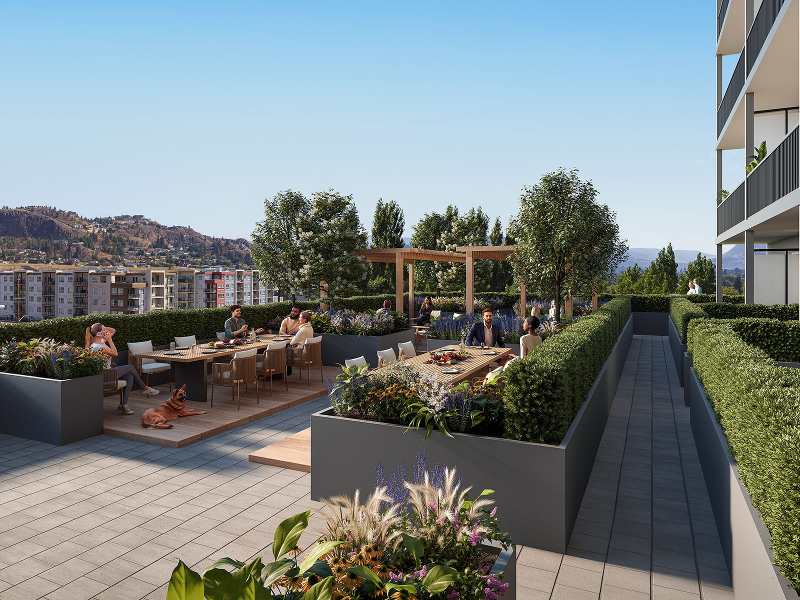 CGI of Nolita&rsquo;s landscaped communal terrace in Kelowna with outdoor dining areas, planting, pergola and residents.