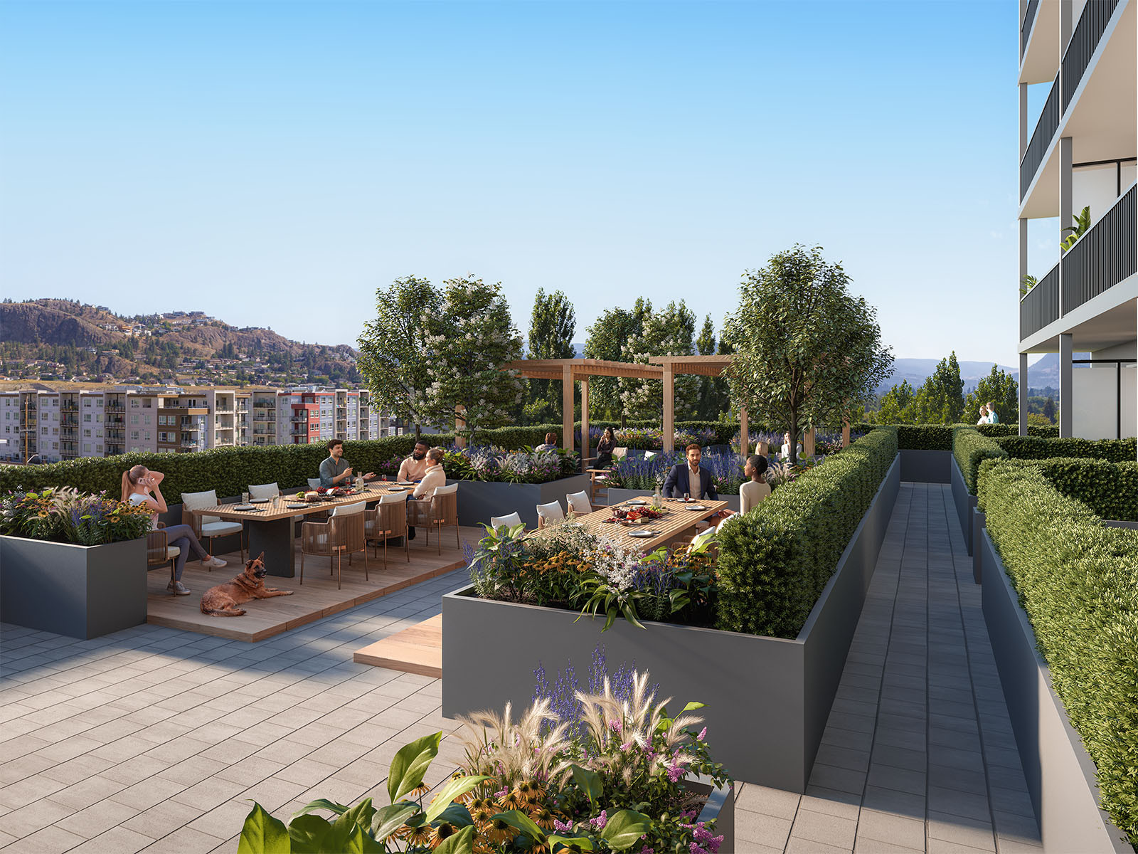 nolita_terrace.jpg CGI of Nolita’s landscaped communal terrace in Kelowna with outdoor dining areas, planting, pergola and residents.
