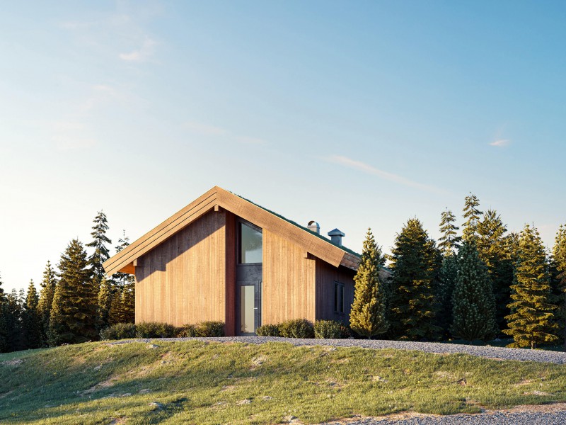 Mountainside Log Cabin Exterior Sunny